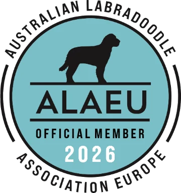 ALAEU-logo-Official-Member-2026